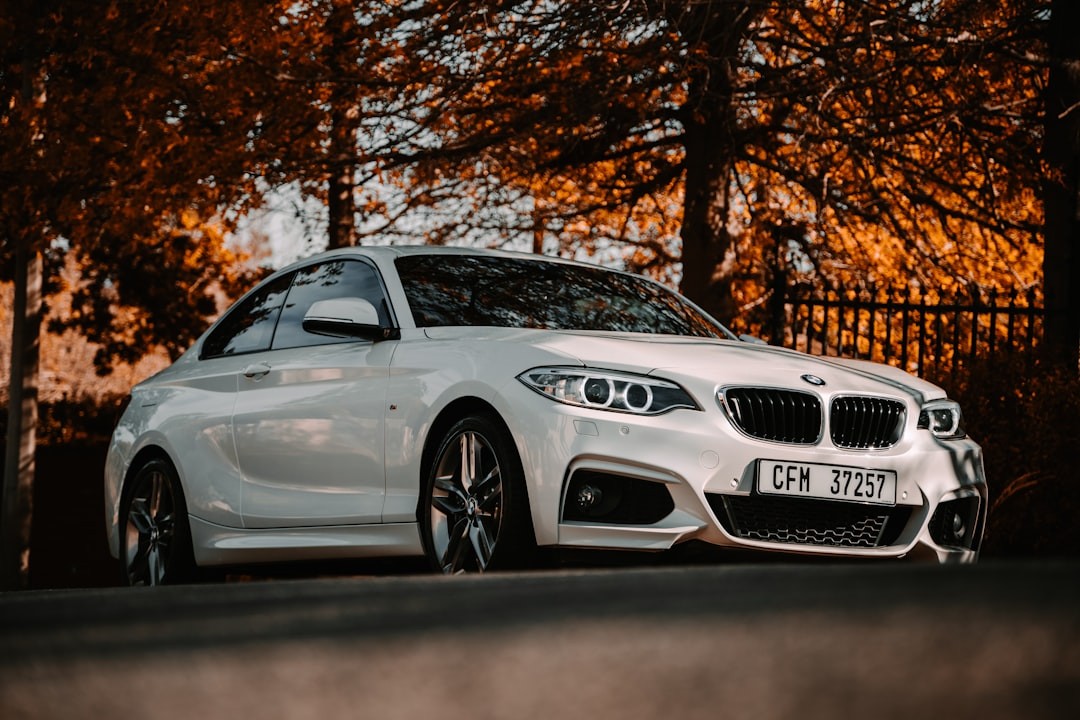 BMW M2 CS 525 cv: o último grande cupê a gasolina que também vira carro de corrida para clientes